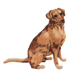 Iron & Sew On Motif: Golden Retriever