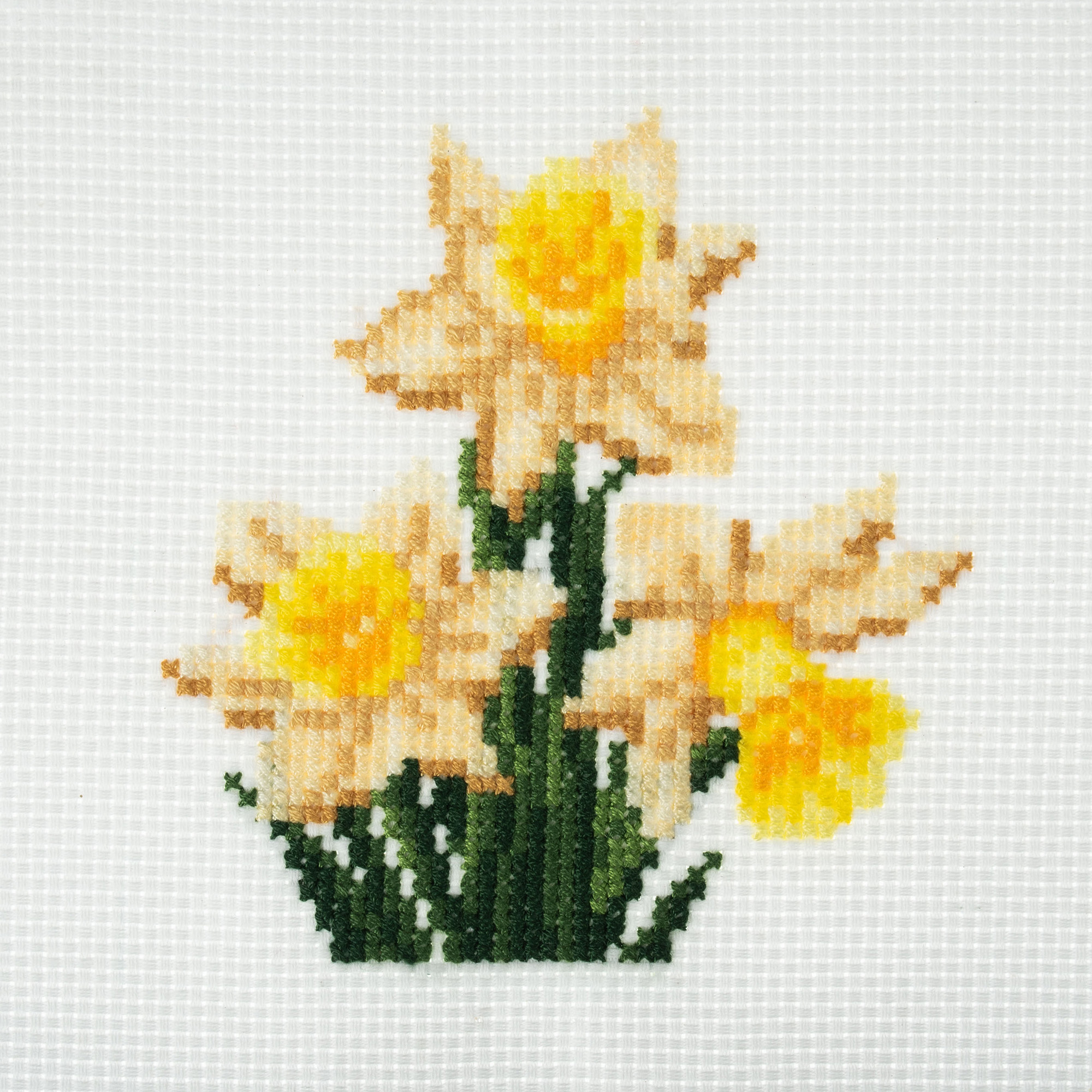 Counted Cross Stitch Kit: Mini: Daffodil - Image 2
