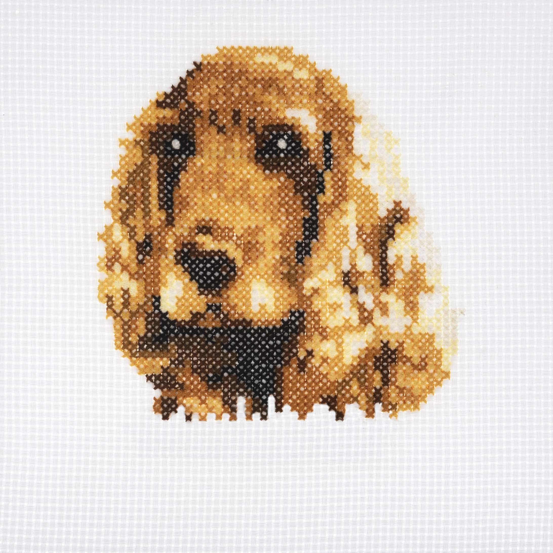 Counted Cross Stitch Kit: Mini: Cocker Spaniel Dog - Image 2