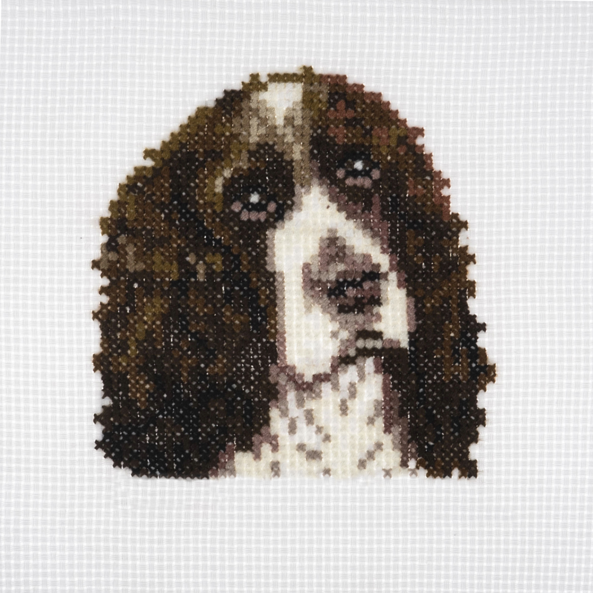 Counted Cross Stitch Kit: Mini: Springer Spaniel - Image 4