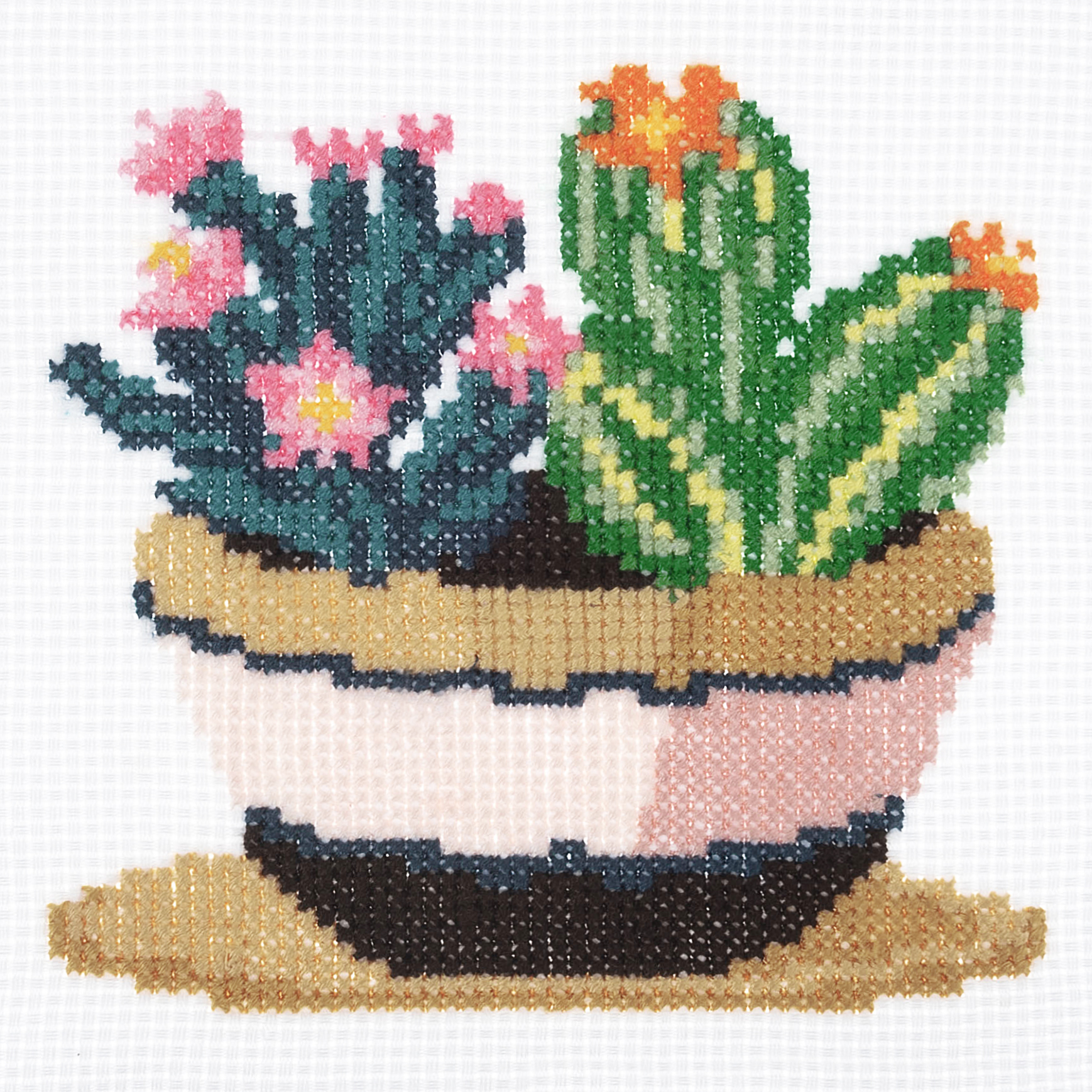 Counted Cross Stitch Kit: Mini: Succulence - Image 2