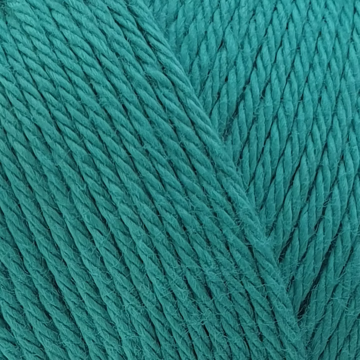 Summer 100% Cotton DK - 100g - Image 4
