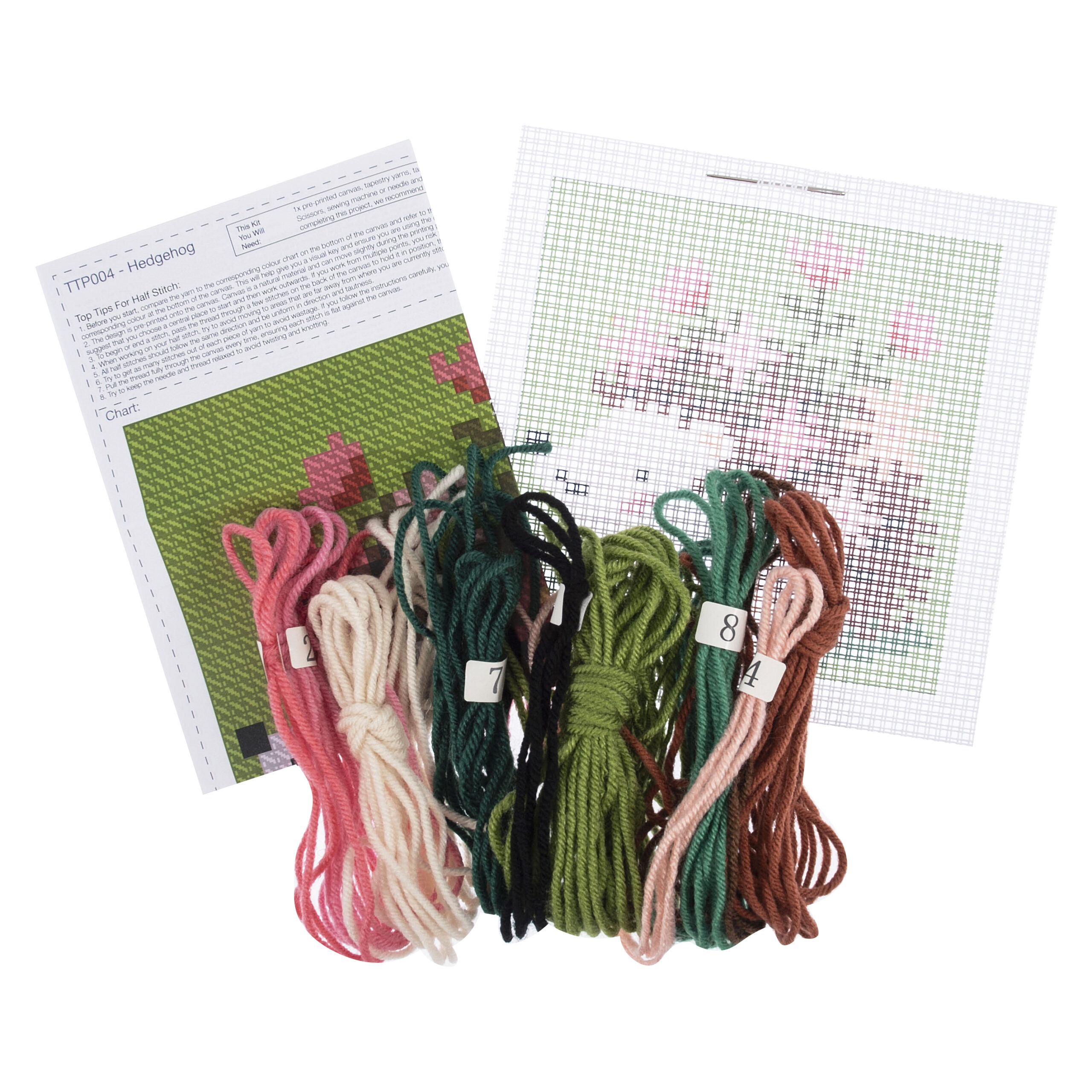 Half Stitch / Tapestry Kit: Hedgehog - Image 2