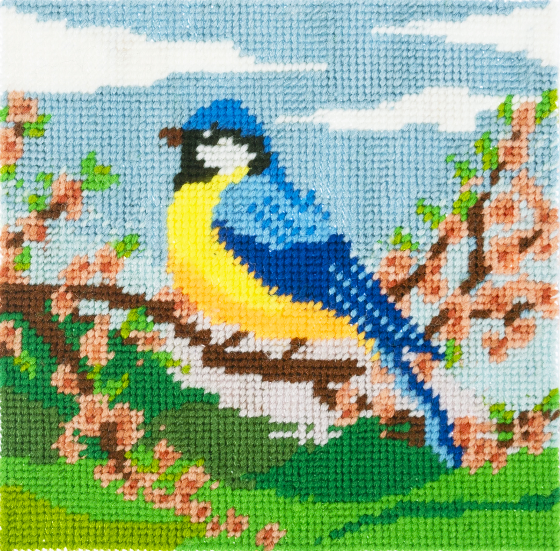 Half Stitch / Tapestry Kit: Bluetit - Image 4