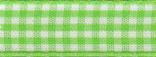 Ribbon: Gingham: Meadow