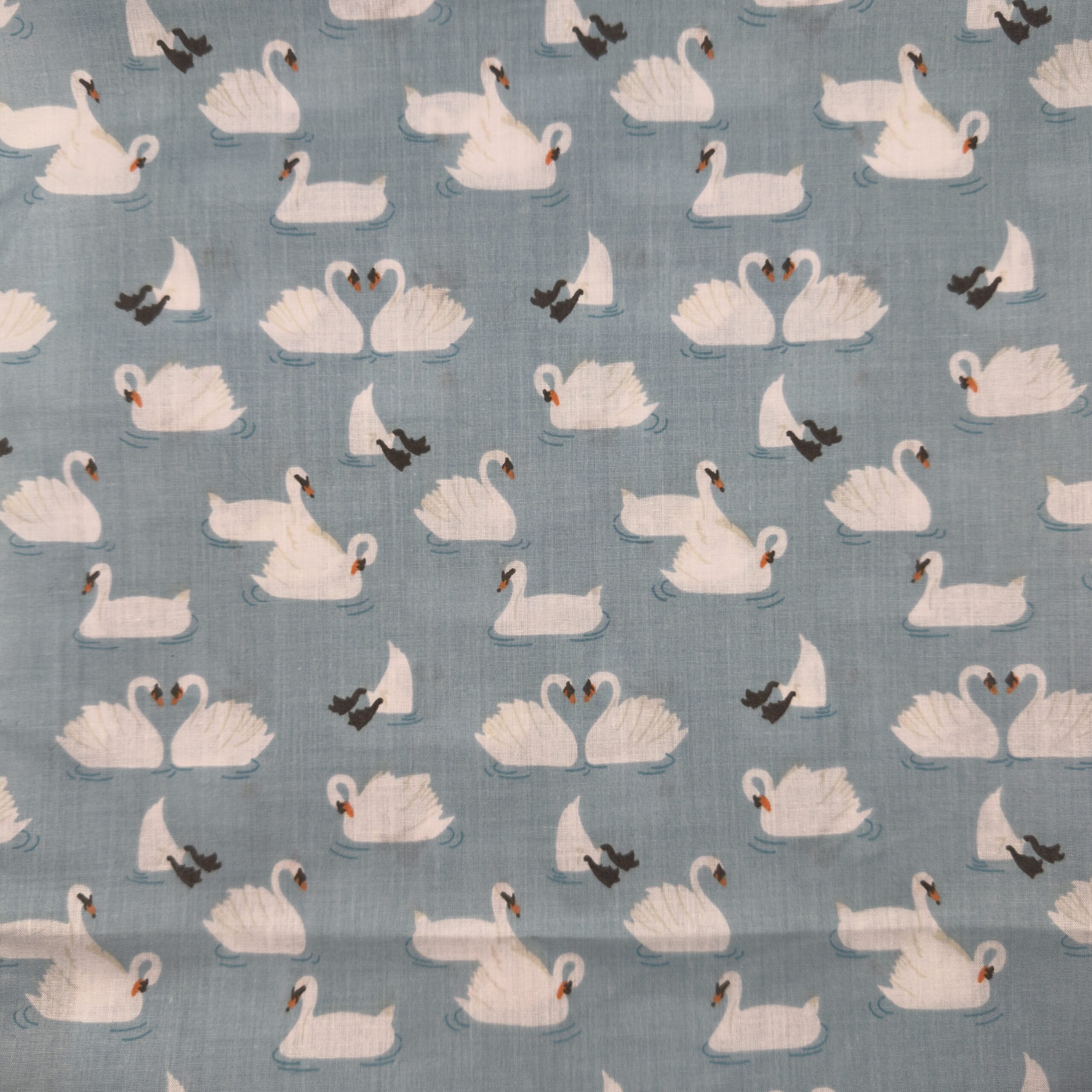 Swans on blue - Polycotton